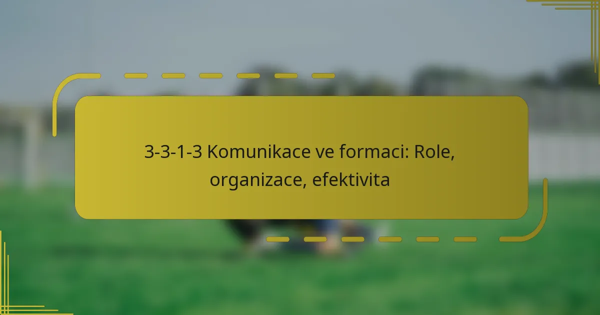 3-3-1-3 Komunikace ve formaci: Role, organizace, efektivita