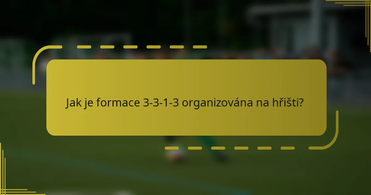 Jak je formace 3-3-1-3 organizována na hřišti?